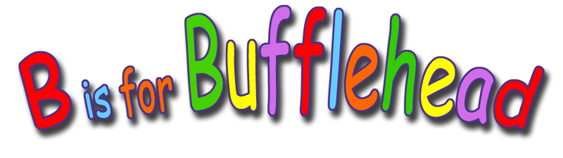 B is for Bufflehead,Children's Alphabet Bird Book